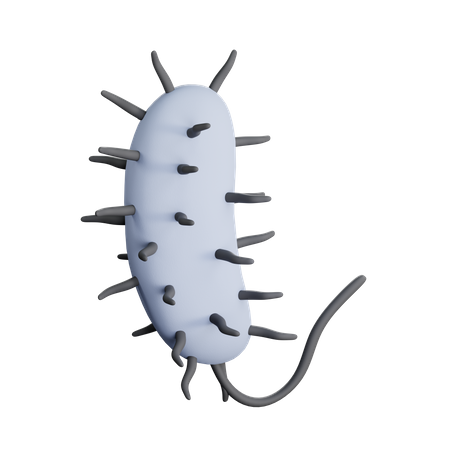 Bacteria  3D Icon