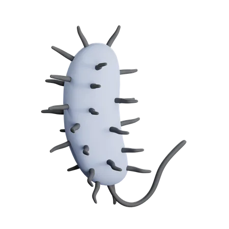 Bacteria  3D Icon