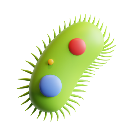 Bacteria  3D Icon