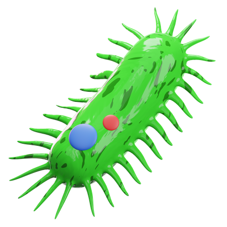 Bacteria  3D Icon