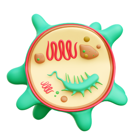 Bacteria  3D Icon