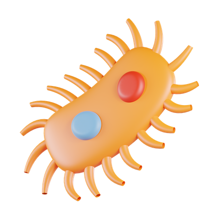 Bacteria  3D Icon