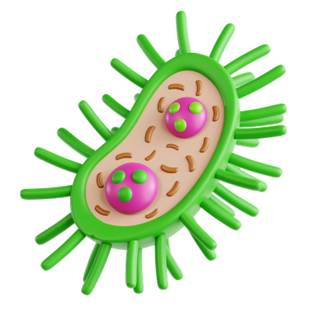 Bacteria  3D Icon