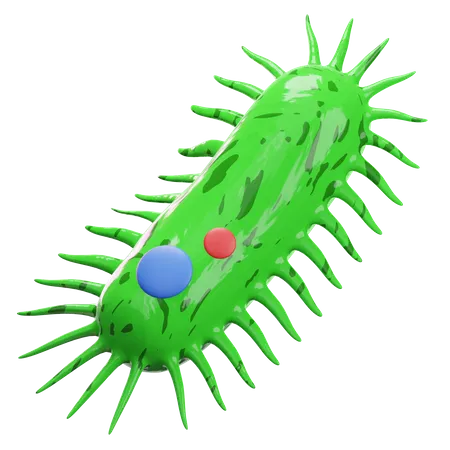 Bacteria  3D Illustration