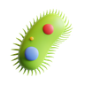 design assets of bacteria