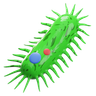 bacteria 3d logos