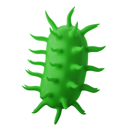 Bacteria 3D Illustration