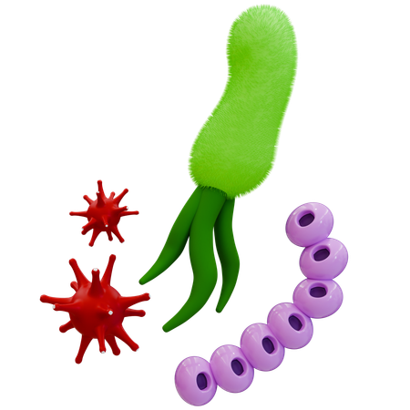 Bacterial Structures in Science  3D Icon