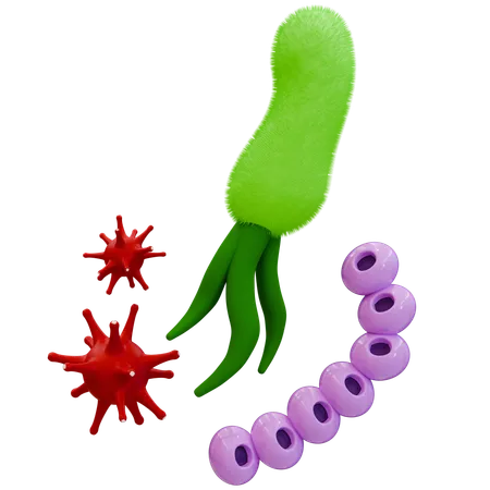 Bacterial Structures in Science  3D Icon