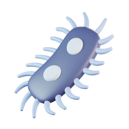 Bacterias  3D Icon