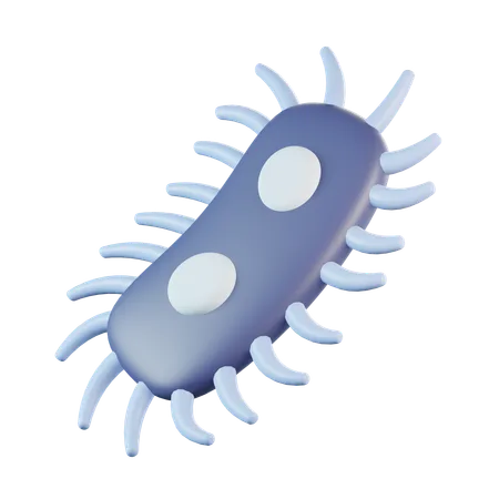 Bacterias  3D Icon