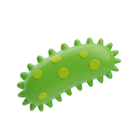 Bactérias  3D Icon