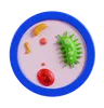 bacterias