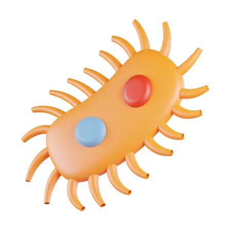 Bacterias  3D Icon