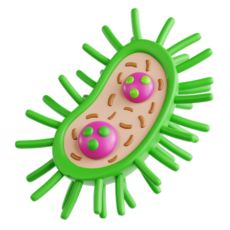 Bacterias  3D Icon