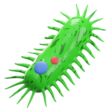 Bactéries  3D Illustration