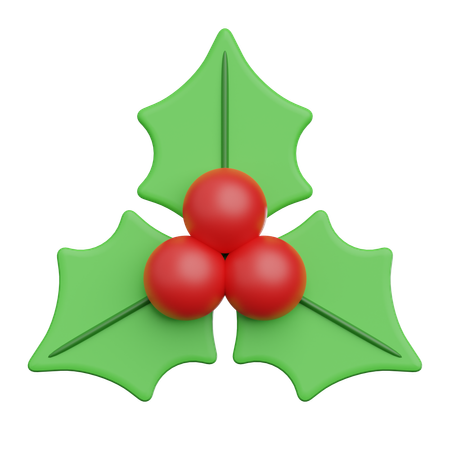 Baies de Noël  3D Icon