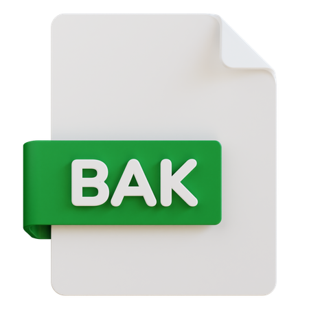 Bak File  3D Icon