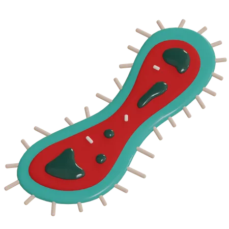 Bakterien  3D Icon