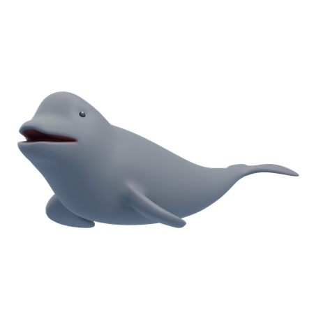 Baleia beluga  3D Icon