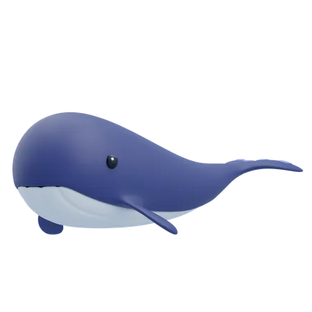 Baleine boréale  3D Icon