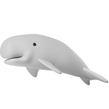 Ballena  3D Icon