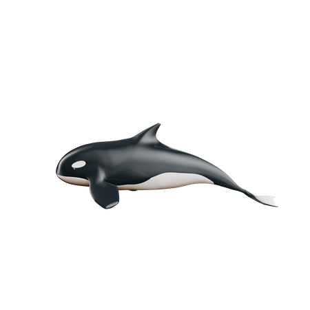 Ballena  3D Icon