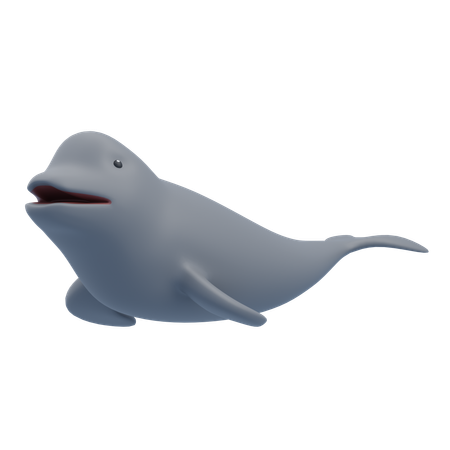 Ballena beluga  3D Icon