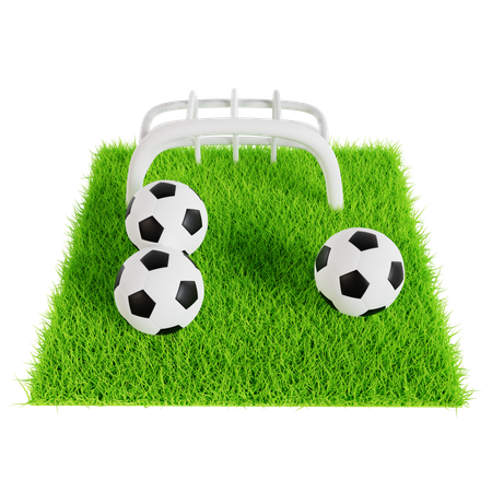 Ballons de football sur le terrain vert  3D Icon