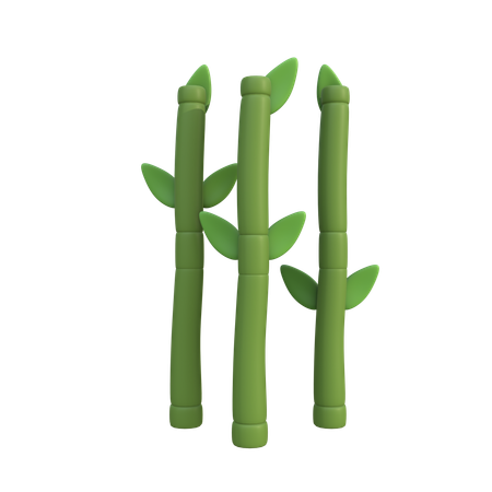 Bamboo  3D Icon