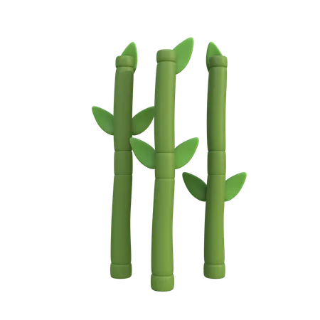 Bamboo  3D Icon
