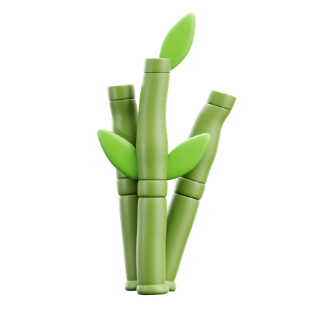 Bamboo  3D Icon