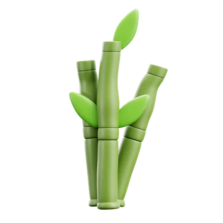 Bamboo  3D Icon