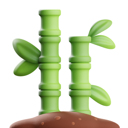 Bamboo  3D Icon