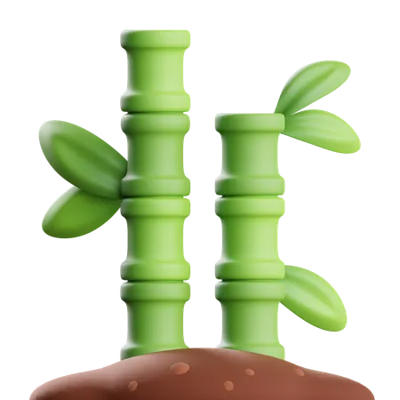 Bamboo  3D Icon