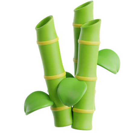 Bamboo  3D Icon