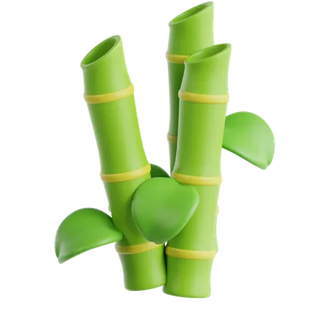 Bamboo  3D Icon