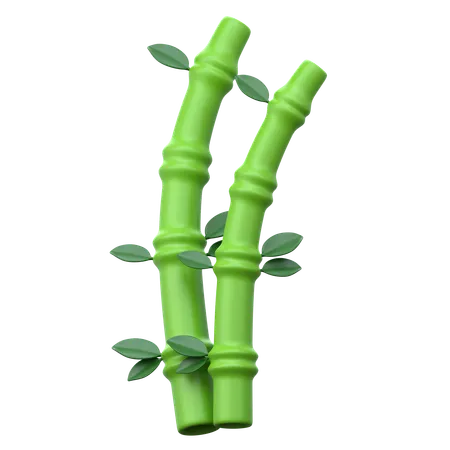 Bamboo  3D Icon