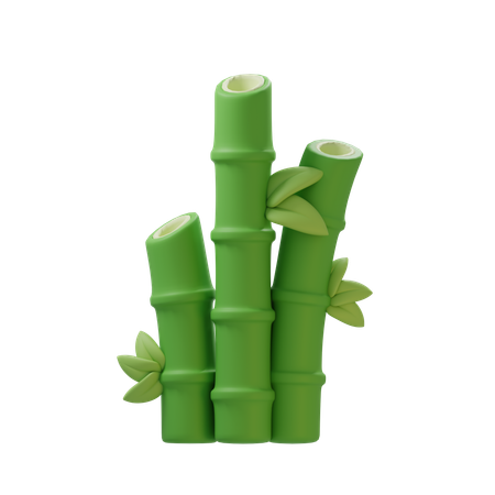 Bamboo  3D Icon