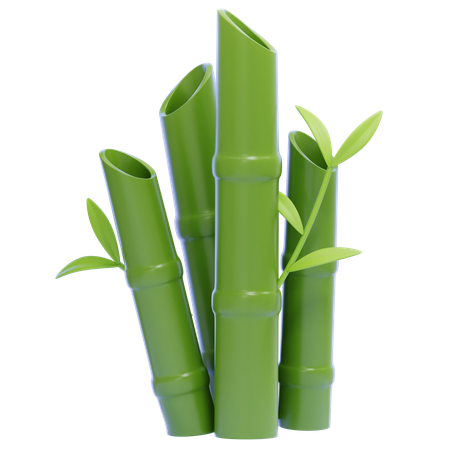 Bamboo  3D Icon