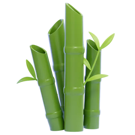 Bamboo  3D Icon