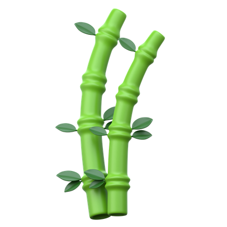 Bamboo  3D Icon