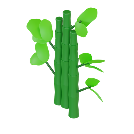 Bamboo  3D Illustration