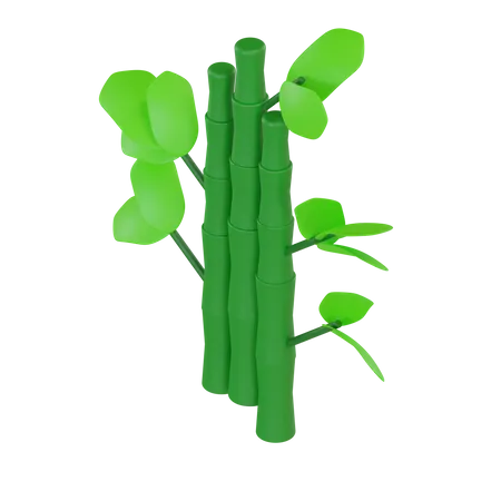 Bamboo  3D Illustration