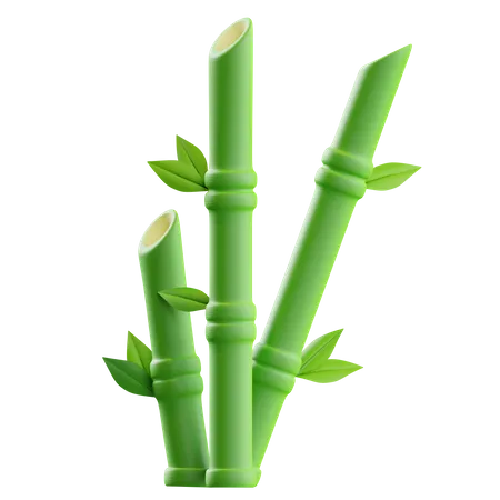 Bamboo  3D Illustration