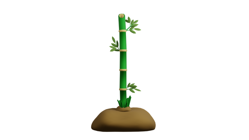 Bamboo Plant  3D Icon