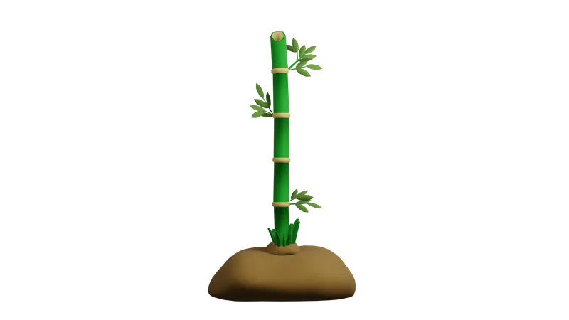 Bamboo Plant  3D Icon