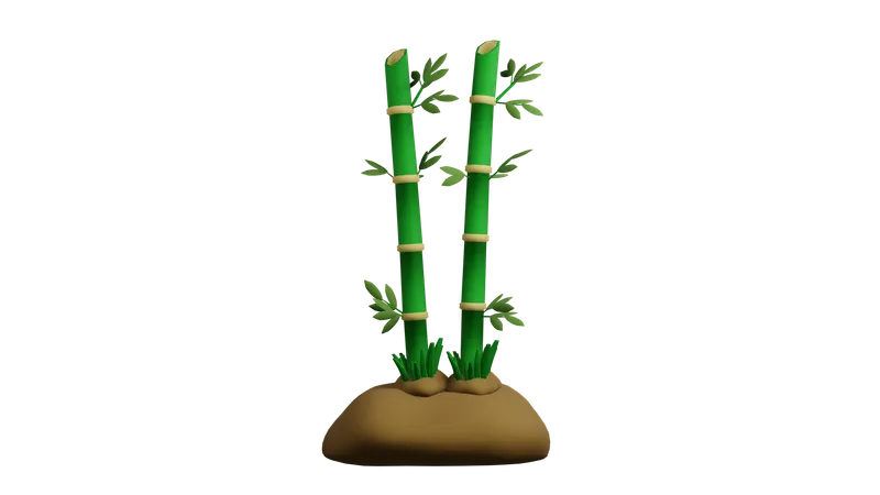 Bamboo Plant  3D Icon