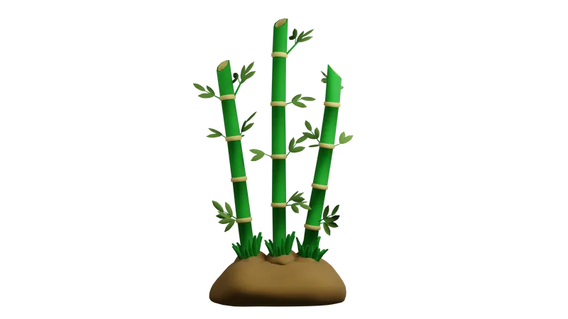 Bamboo Plant  3D Icon