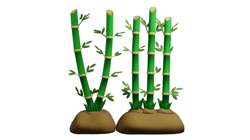 Bamboo Plant  3D Icon